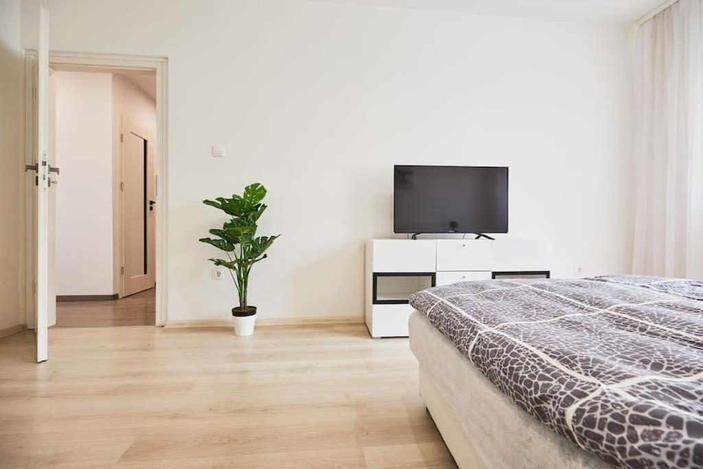 Zoe Apartman, Koezponthoz Koezel Debrecen