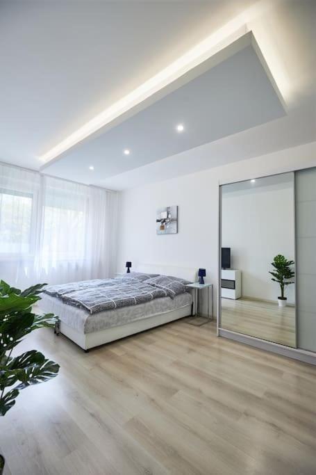Apartment Zoe Apartman, Koezponthoz Koezel Debrecen