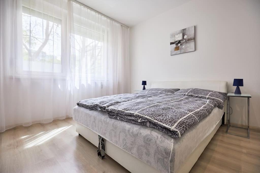 Apartment Zoe Apartman, Koezponthoz Koezel Debrecen